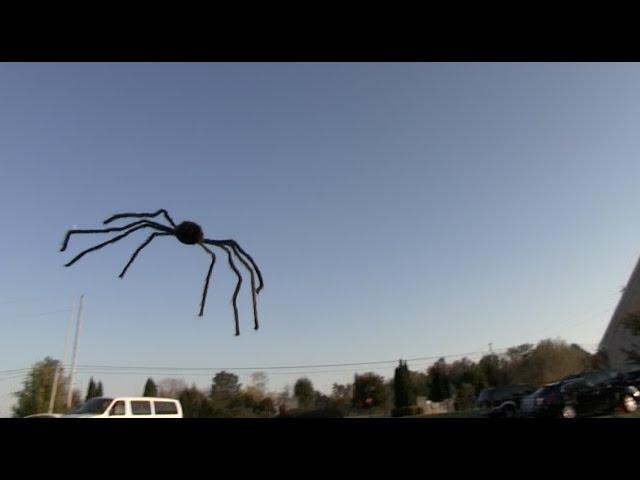 FLYING SPIDER PRANK! - Tom Mabe Halloween Pranks