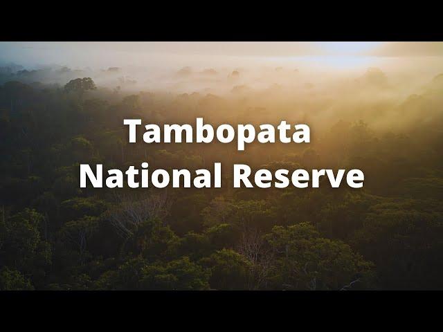 The Tambopata National Reserve  - PERU