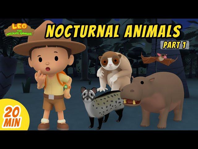 Nocturnal Animals Minisode Compilation (Part 1/2) - Leo the Wildlife Ranger | Animation | For Kids