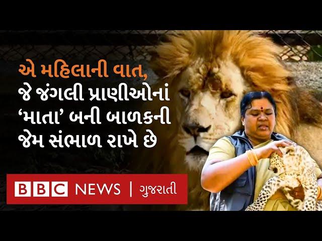 Animal love : એ મહિલાની વાત; જેઓ સિંહ, વાઘ અને દીપડા માટે 'માતા' જેવાં છે