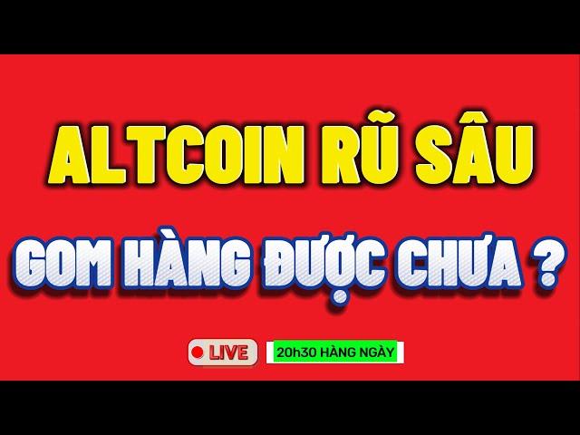 Phân Tích Bitcoin Ngày 10-12-2024 - ALTCOIN RŨ SÂU - GOM HÀNG ĐƯỢC CHƯA ?? - Blockchain Việt Nam