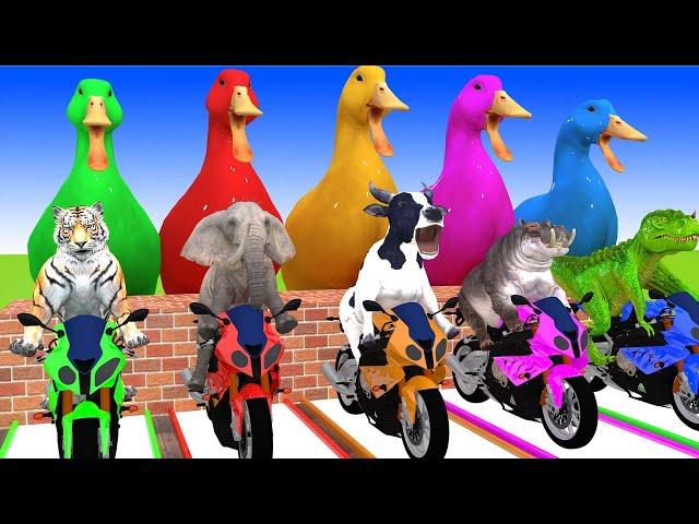 5 Giant Duck, Monkey, Piglet, chicken, dog, mammoth,tiger, Sheep, Transfiguration funny animal 2023