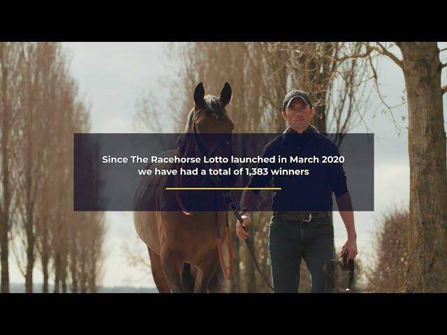 Racehorse Lotto - The Story So Far