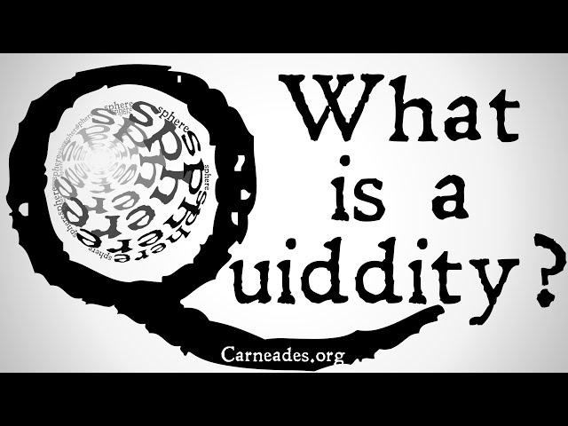 What is a Quiddity? (Metaphysics)