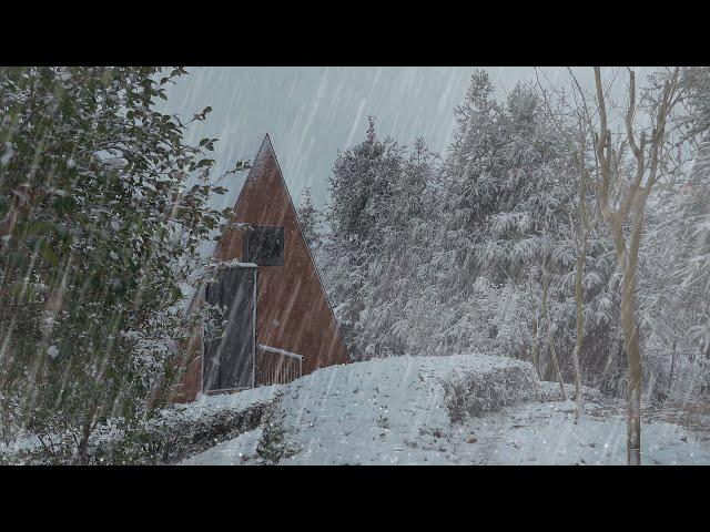 【白噪音】聆聽冬季山林風聲和下雪的聲音丨適合放鬆入睡丨學習丨冥想環境音丨治癒耳鳴焦慮丨ptsd丨催眠曲丨憂鬱症丨BGM【the sound of snow】