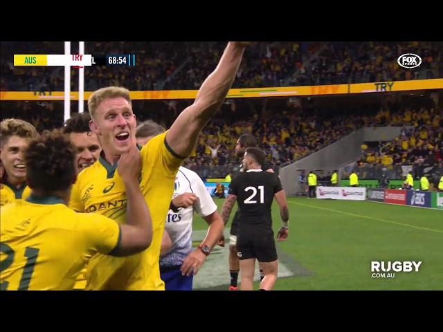 Bledisloe Cup 2019: Wallabies vs All Blacks