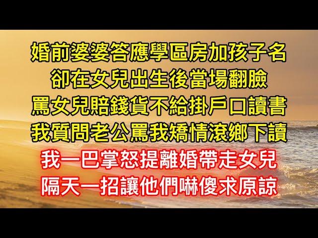 婚前婆婆答應學區房加孩子名，卻在女兒出生後當場翻臉，罵女兒賠錢貨不給掛戶口讀書，我質問老公罵我矯情滾鄉下讀，我一巴掌怒提離婚帶走女兒，隔天一招讓他們嚇傻求原諒