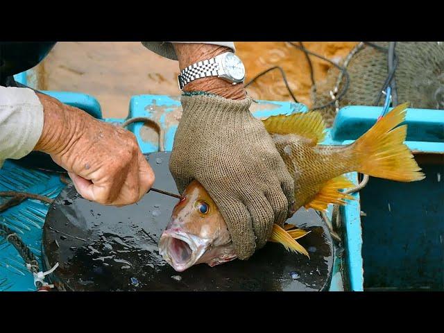 Amazing Cutting Live Fish at Sai Kung Seafood Market in Hong Kong