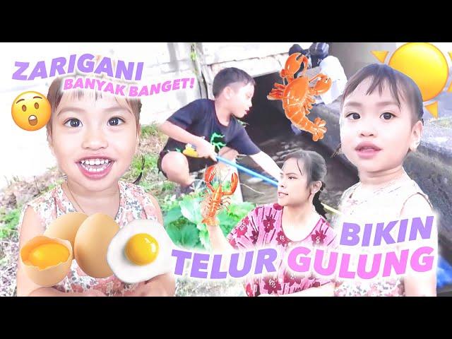 GAGAL BIKIN TELUR GULUNG DAN CARI ZARIGANI