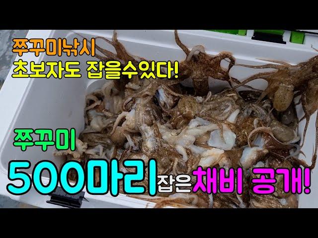 [ 쭈꾸미채비 ] 쭈꾸미낚시채비 500마리 잡는 채비 리뷰 !! 이렇게하면 초보자도 많이 잡을수 있습니다 ! 출조전 꼭 보세요 !