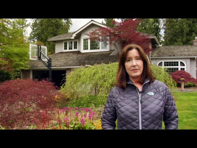 Seattle Arborist and Tree Pruning Testimonial for Chip Kennaugh