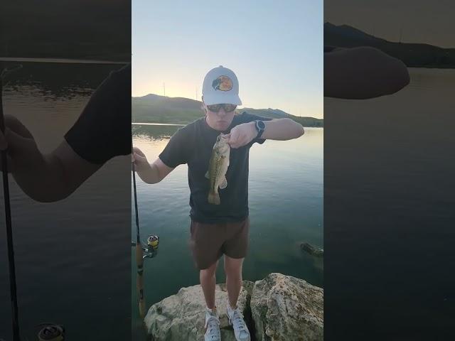 Smells like fish, tastes like victory! @LakeForkGuy thanks for the tips #fishing #bass #shorts