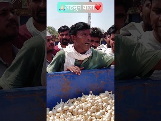 लहसुन वाला | Aaj Ka Lahsun Ka Bhav | Garlic Rate Today | Chhipabarod Mandi #lahsun