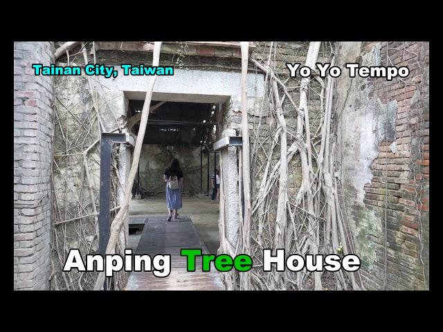 Anping Tree House - Tainan City, Taiwan