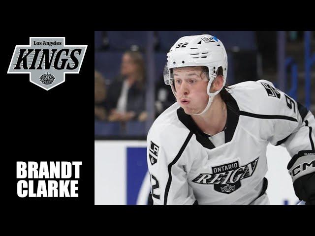 NHL Prospects : Brandt Clarke - 23-24 Highlights