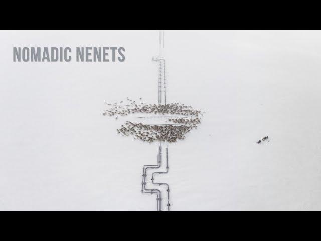 The Nomadic Nenets