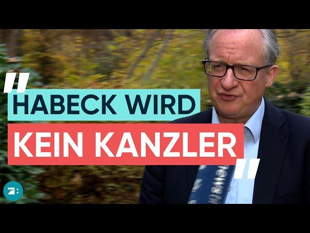 Zukunft der Grünen: Experte erklärt Habecks Strategie | EXKLUSIV