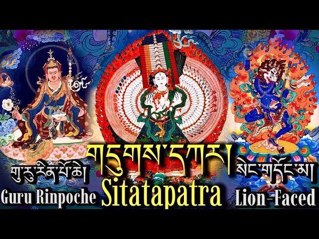 Remove Obstacles-Guru Rinpoche, Sitatapatra & Lion-Faced Dakini Prayer|གུ་རུ་གདུགས་དཀར་སེང་གདོང་མ།