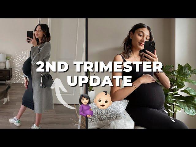 2ND TRIMESTER PREGNANCY UPDATE | weeks 13-28 