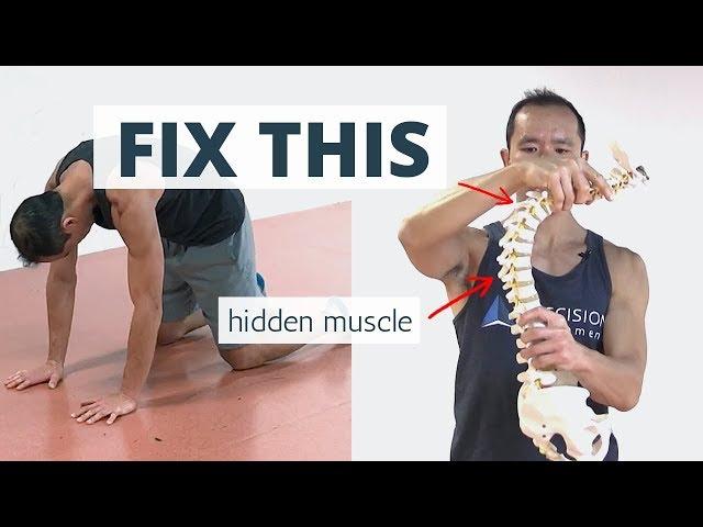 Wake Up This "Hidden" Muscle to Fix HUNCHBACK Posture (aka Kyphosis)