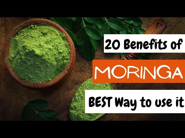 20 Moringa Powder Benefits AND How To Use It