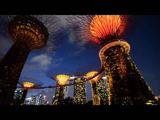 Gardens by the Bay - Chinese New Year 2016 - Light Show