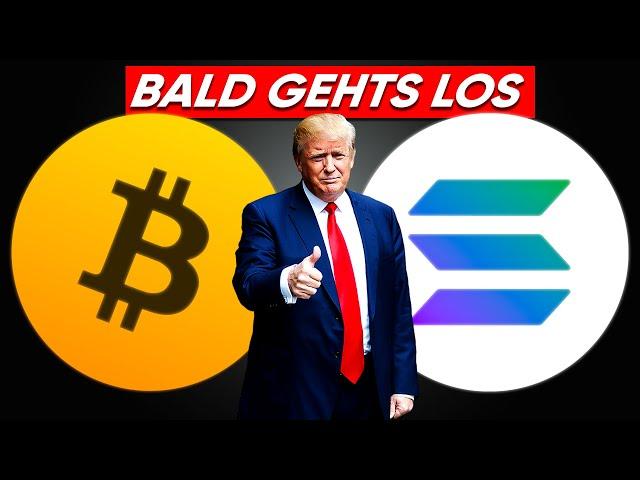 Trump Pump: Kommt JETZT der Bitcoin/Solana Hype?