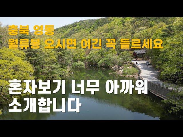 충북 영동에 이런 곳에 있을 줄이야 #백화산#반야사#월류봉 둘레길