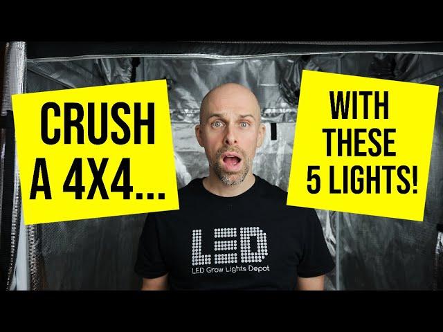 5 HIGH-INTENISTY LED Grow Lights to CRUSH a 4x4!