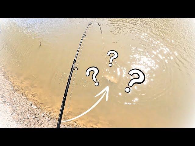 Murray river Fishing in summer