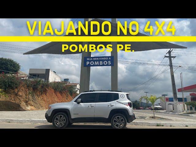 Pombos cidade da mata sul de Pernambuco