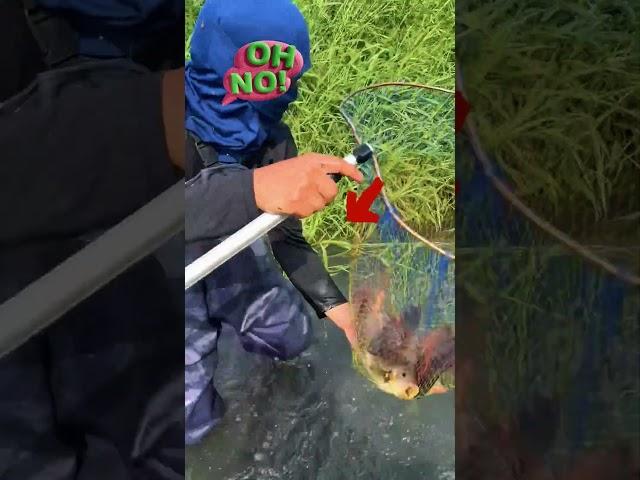 #fishingtime #perch #kayakfishing #tightlines #carplife #carpy #adventure #river #fishingday #fish