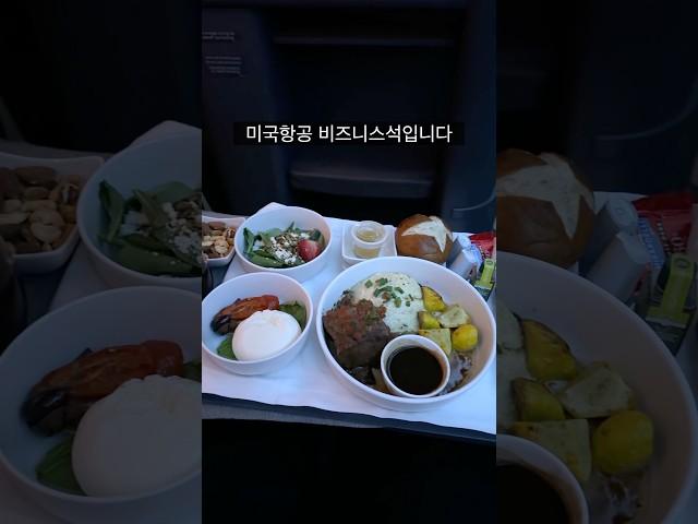 세계 최대 항공사의 비즈니스석