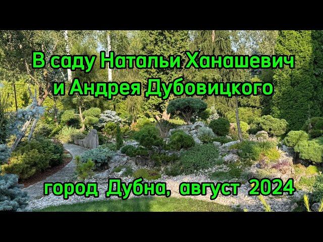 В саду Натальи Ханашевич и Андрея Дубовицкого. Город Дубна, август 2024