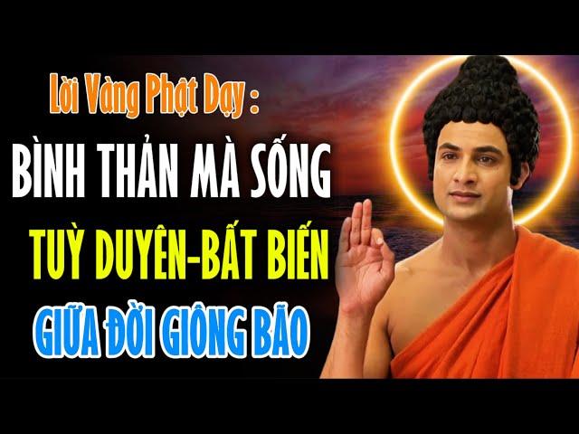 Lời Vàng Phật Dạy : Bình Thản Mà Sống, Tùy Duyên - Bất Biến Giữa Đời Giông Bão