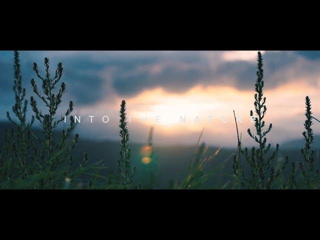 Into The Nature - Cinematic Travel Video | Sony a6300