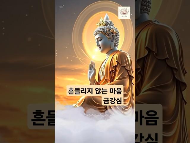 흔들리지 않는 마음_금강심