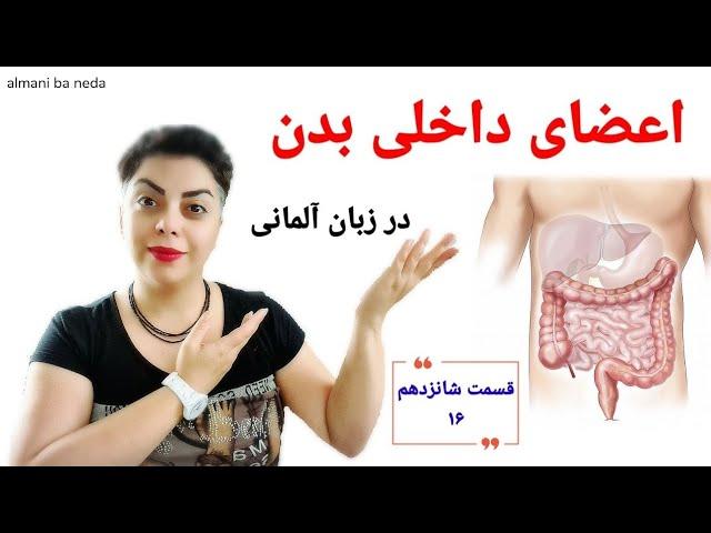 قسمت شانزدهم ۱۶ سطح پایه ، اعضای داخلی بدن به زبان آلمانی