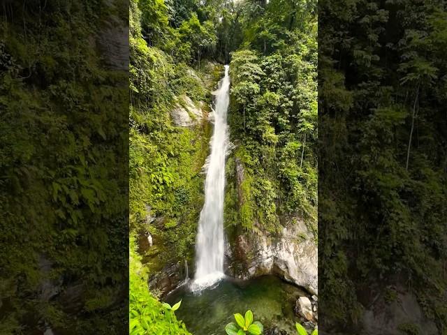 Beautiful waterfalls in North Bengal | Changey Waterfalls | #mountains #trekking #waterfalls #shorts