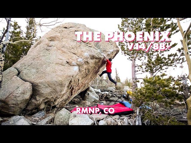 UNCUT: The Phoenix V14/8B+