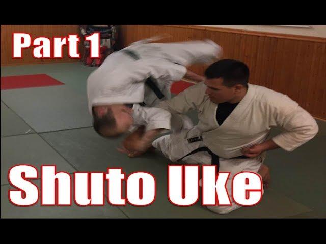 Application of Shuto Uke - PART 1 - Shihonage