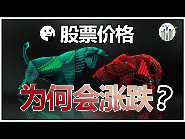 3分钟看懂，你再去炒股！！为什么散户一直赔钱？【股视小知识- EP23】