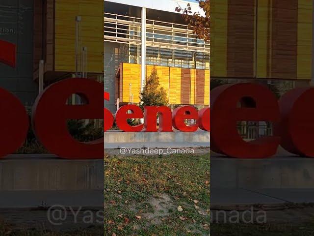 India Vs Pak match at Seneca College (2022) #shorts #shortsvideo