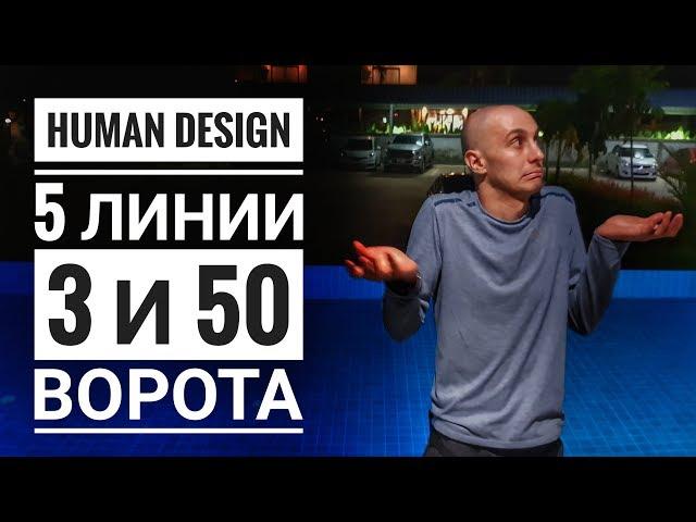 Дизайн Человека 3 и 50 ворота. 5 линии Даниил Трофимов. Human Design. Транзиты