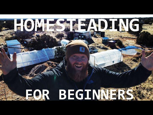 Homesteading how to get started