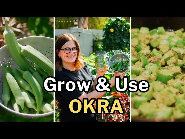 OKRA: The Ultimate Guide to Growing, Cooking & Using Okra