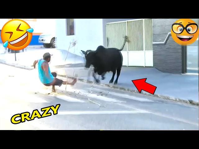 Try Not To Laugh Challenge Best Of 2025 |Hilarious People Moment |Funniest Videos Compilations Pt3