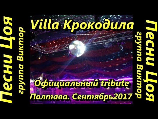 Песни Цоя. Полтава. Villa Крокодила.Официальный tribute гр. Кино #dizzy51style Irina Kozhevnikova