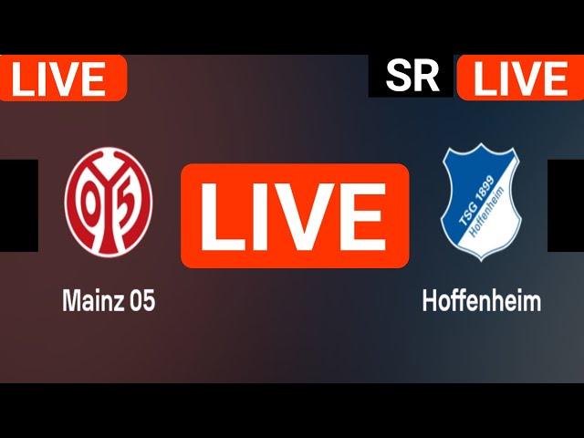 FSV Mainz 05 vs Hoffenheim live match today score updates | Bundesliga live score