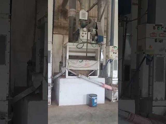 MILLTEC MACHINERY RICEMILL #ricemill #milltek #paddy #ricemillmachine #business #industrial